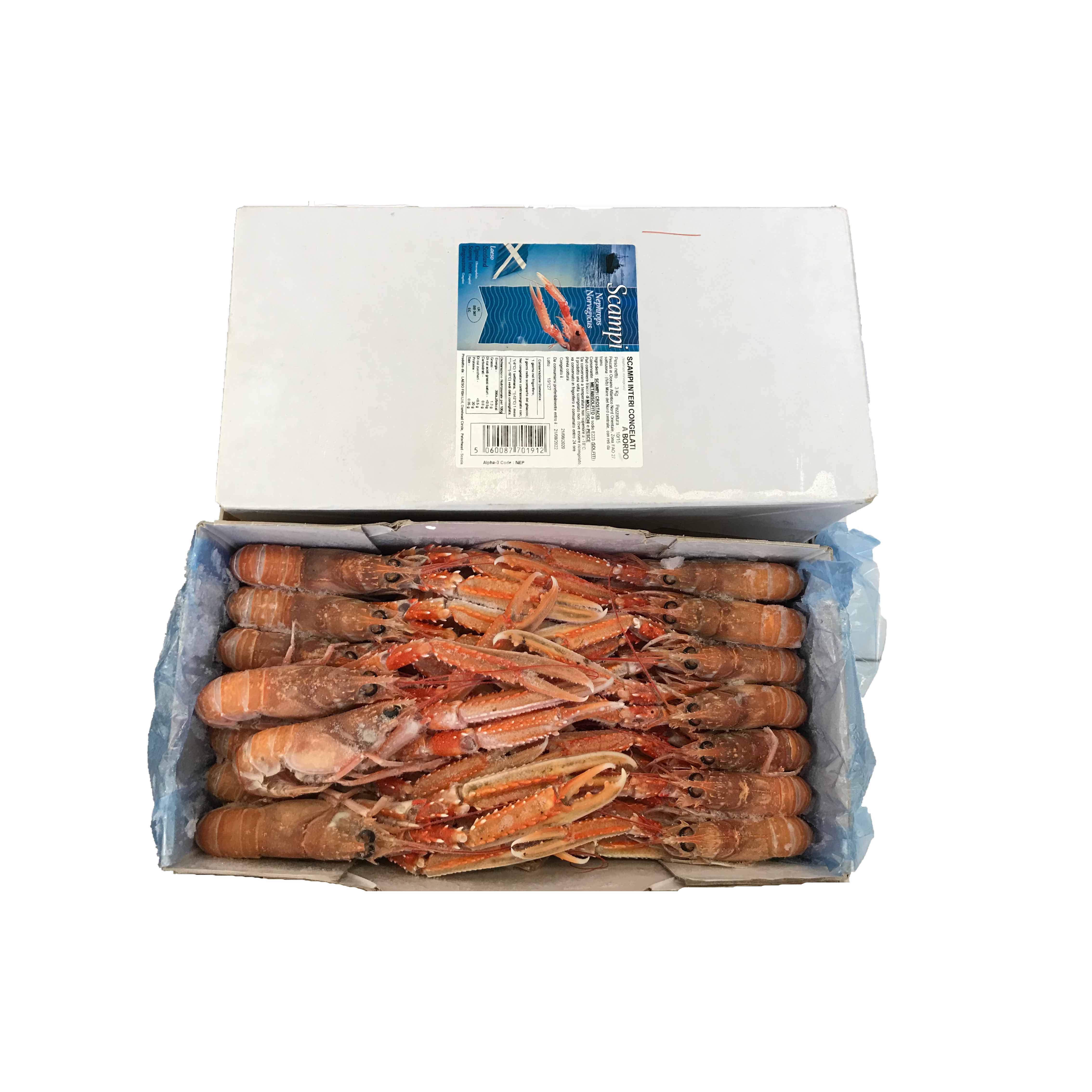 SCAMPI INTERI 10/15 CONG.3KGX3PZ 生吃海螯虾